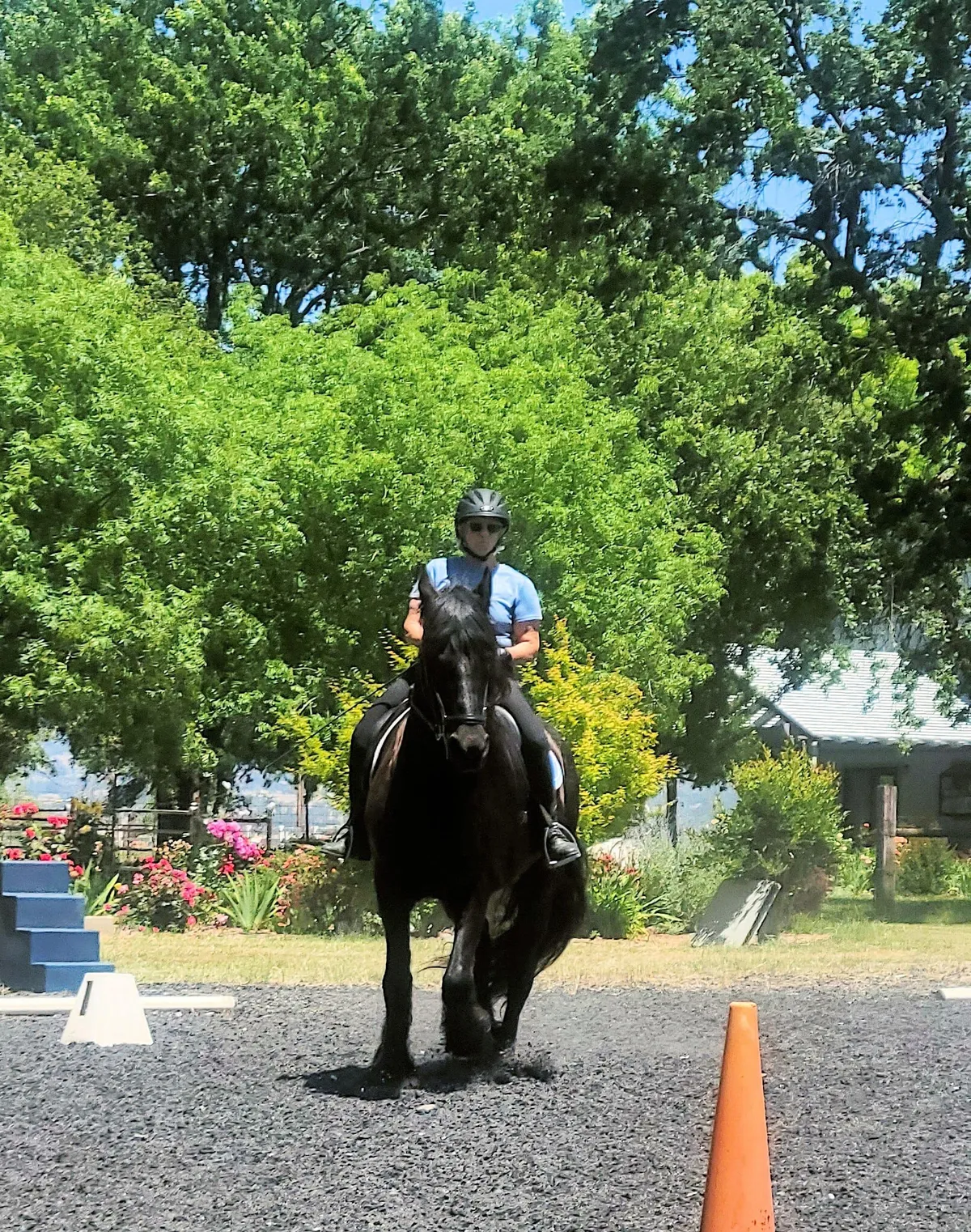 Terry Ridge Stables Riding Foundations with terrie Douglas